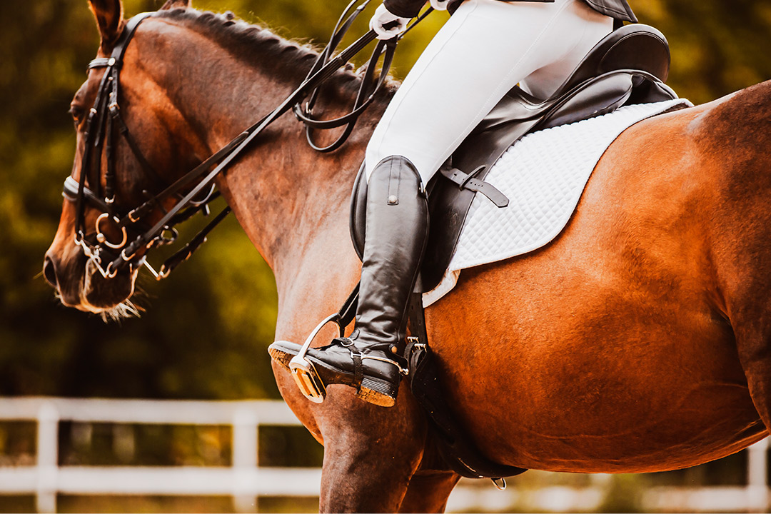 A rider on horseback traversing a vibrant field, highlighting the connection and harmony between equestrian and nature.