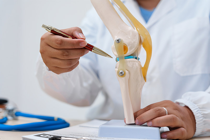 A doctor with a pen and a leg model illustrates a combo treatment that accelerates recovery for knee and foot injuries.
